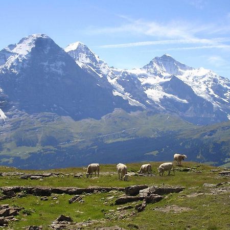 Beim See Grindelwald Bagian luar foto