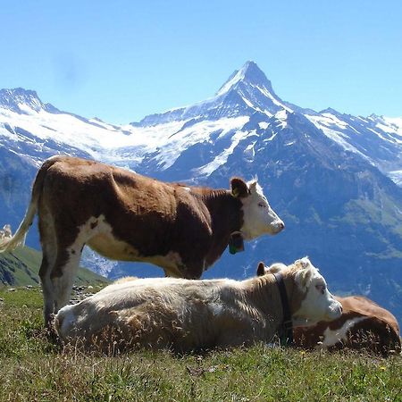 Beim See Grindelwald Bagian luar foto