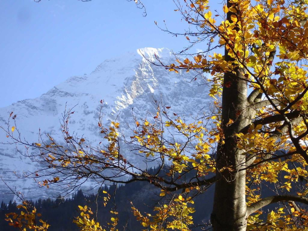 Beim See Grindelwald Bagian luar foto