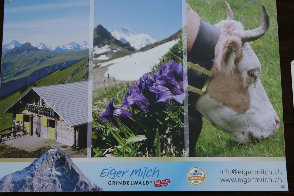 Beim See Grindelwald Bagian luar foto